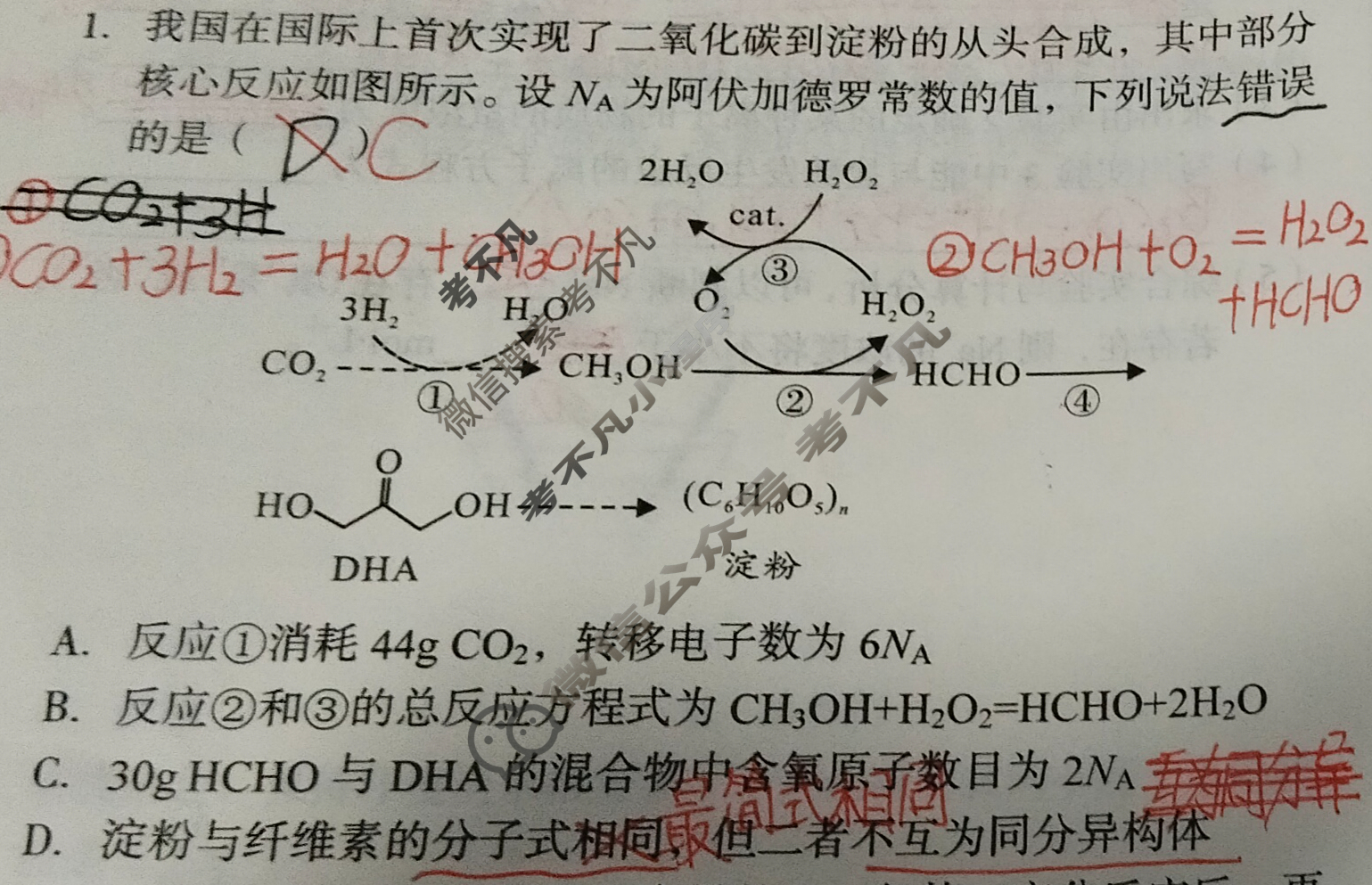 [1号卷]A10联盟2024届高三一轮复习试卷(二)2化学试题