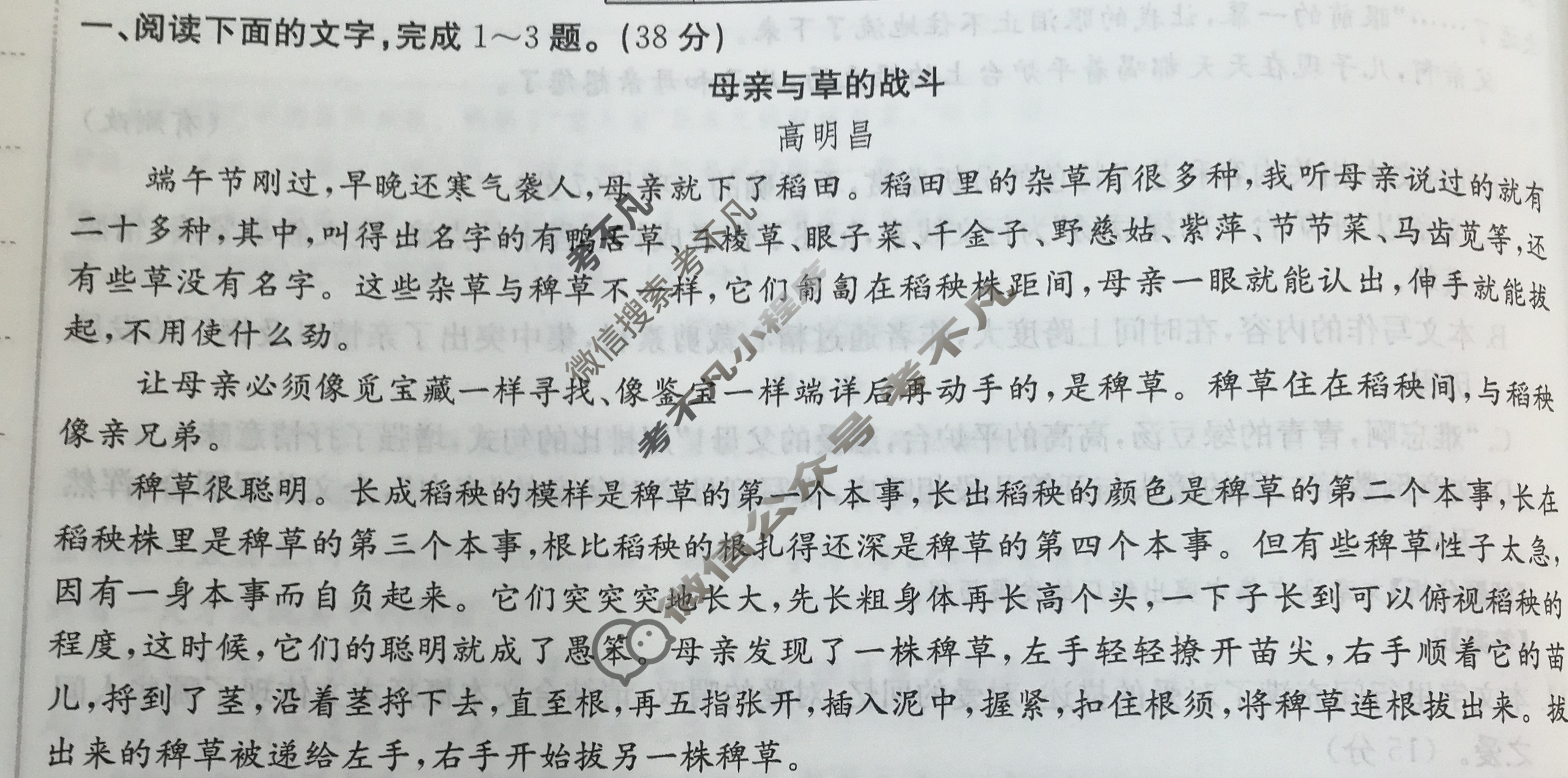 2024年全国100所名校高三单元测试示范卷[24·G3DY·语文-R-必考-SX]语文(十一)11答案