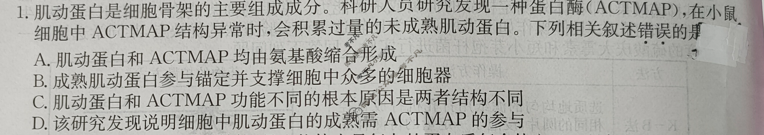2024届全国高考分科调研模拟测试卷[XGK-湖南](二)2生物试题