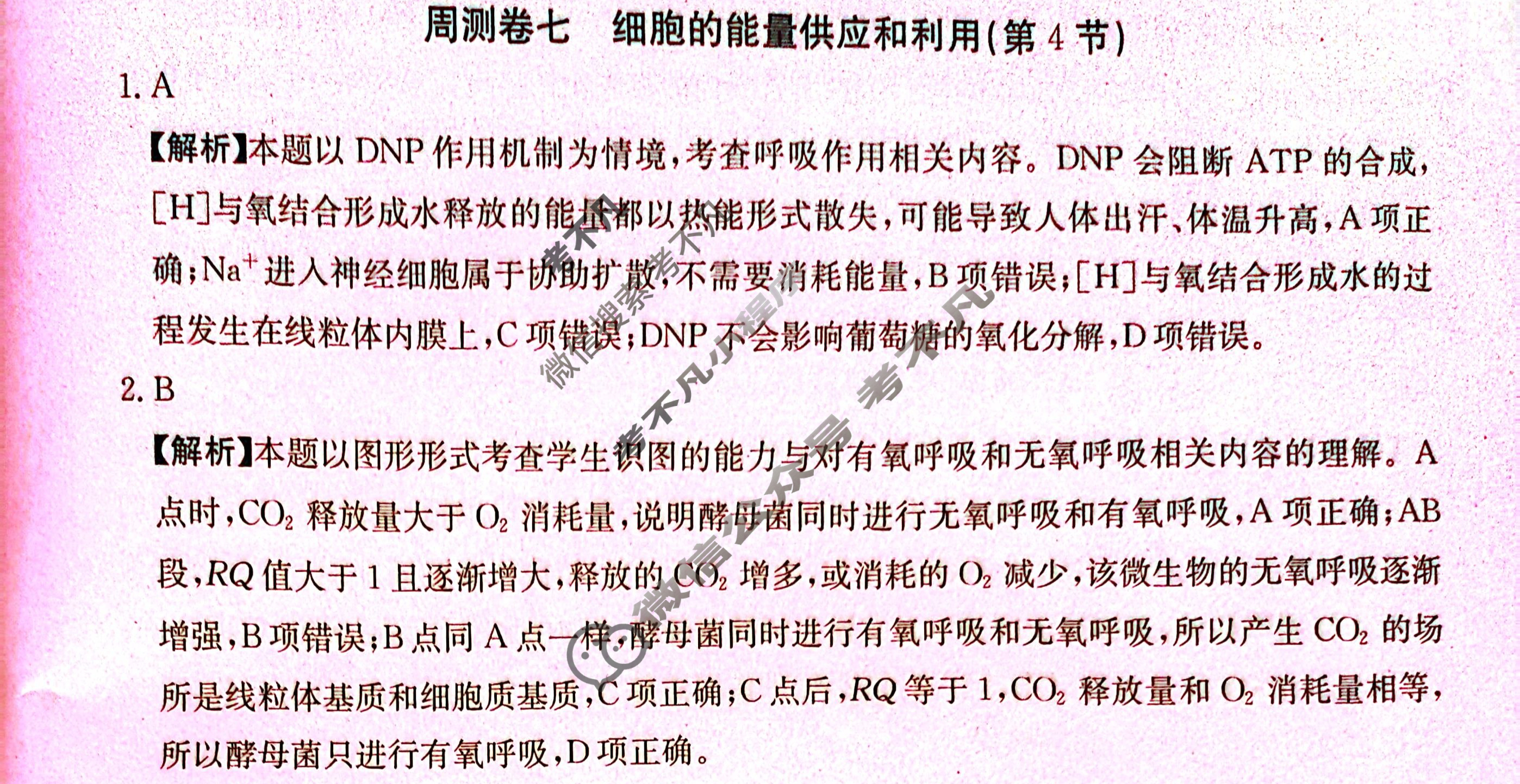 2024年高三第一轮复习周测卷[24·G3ZCJ(新高考)·生物学-R-必考-QGC]生物(七)7答案