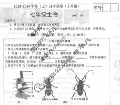 辽宁省2023-2024学年七年级(上)月考试(十月份)生物试题