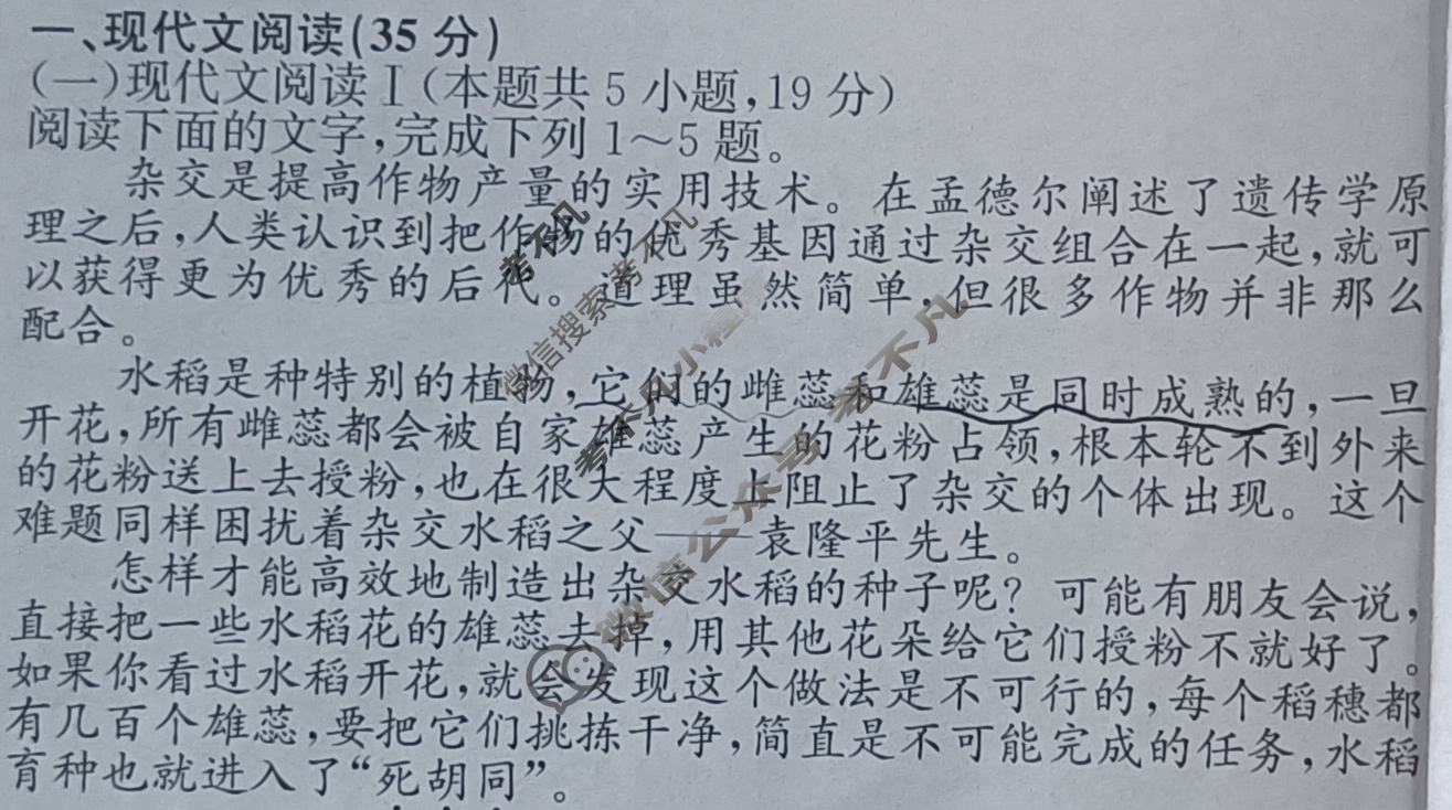 高三2024届新高考模拟检测卷F-XKB(四)4语文试题