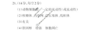 [山西思而行]2023-2024学年高三年级一轮复习中期考试生物答案