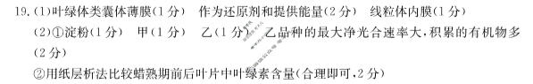 河北省金太阳2023~2024学年高三(上)第四次月考(24-91C)生物答案