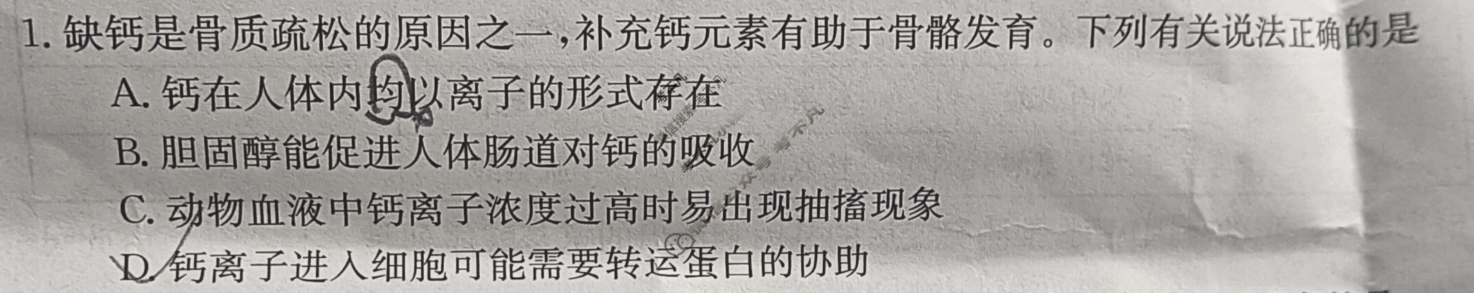 贵州省金太阳2024届高三10月联考(24-111C)生物试题