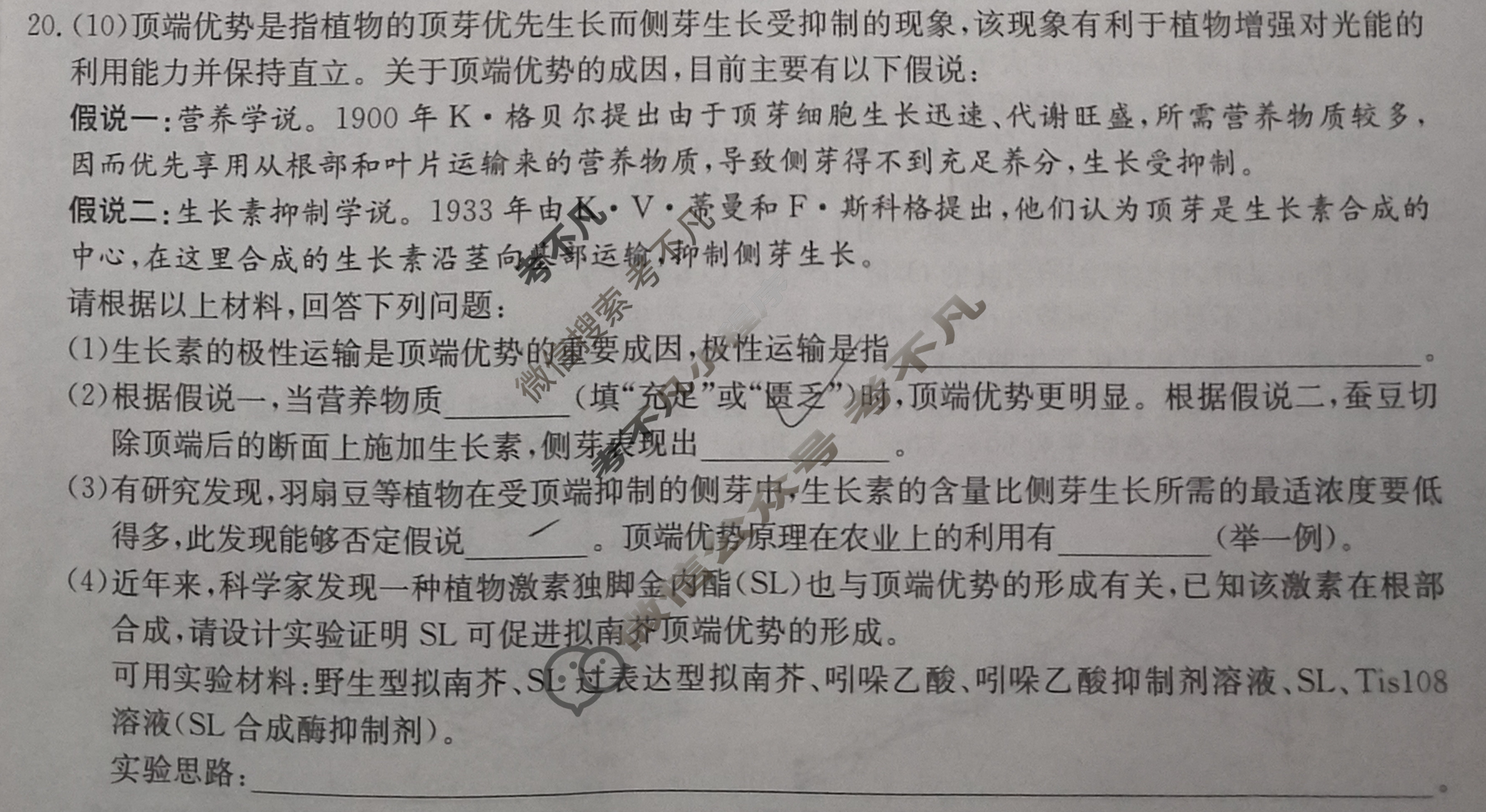 [全国名校大联考]2023~2024学年高三第三次联考(月考)试卷生物XGK✰试题