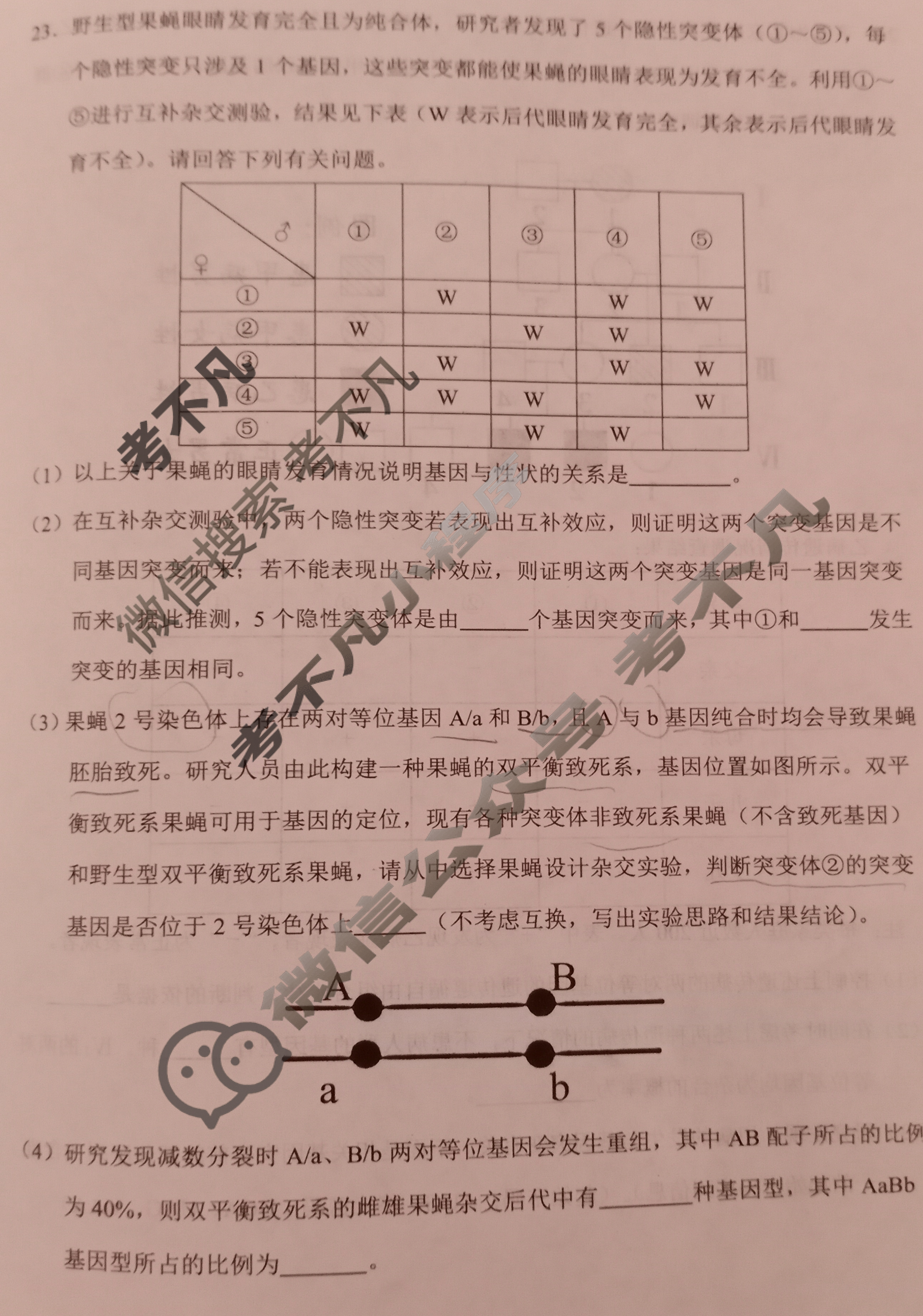济宁市2023~2024学年度第一学期高三期中教学质量检测(2023.11)生物试题