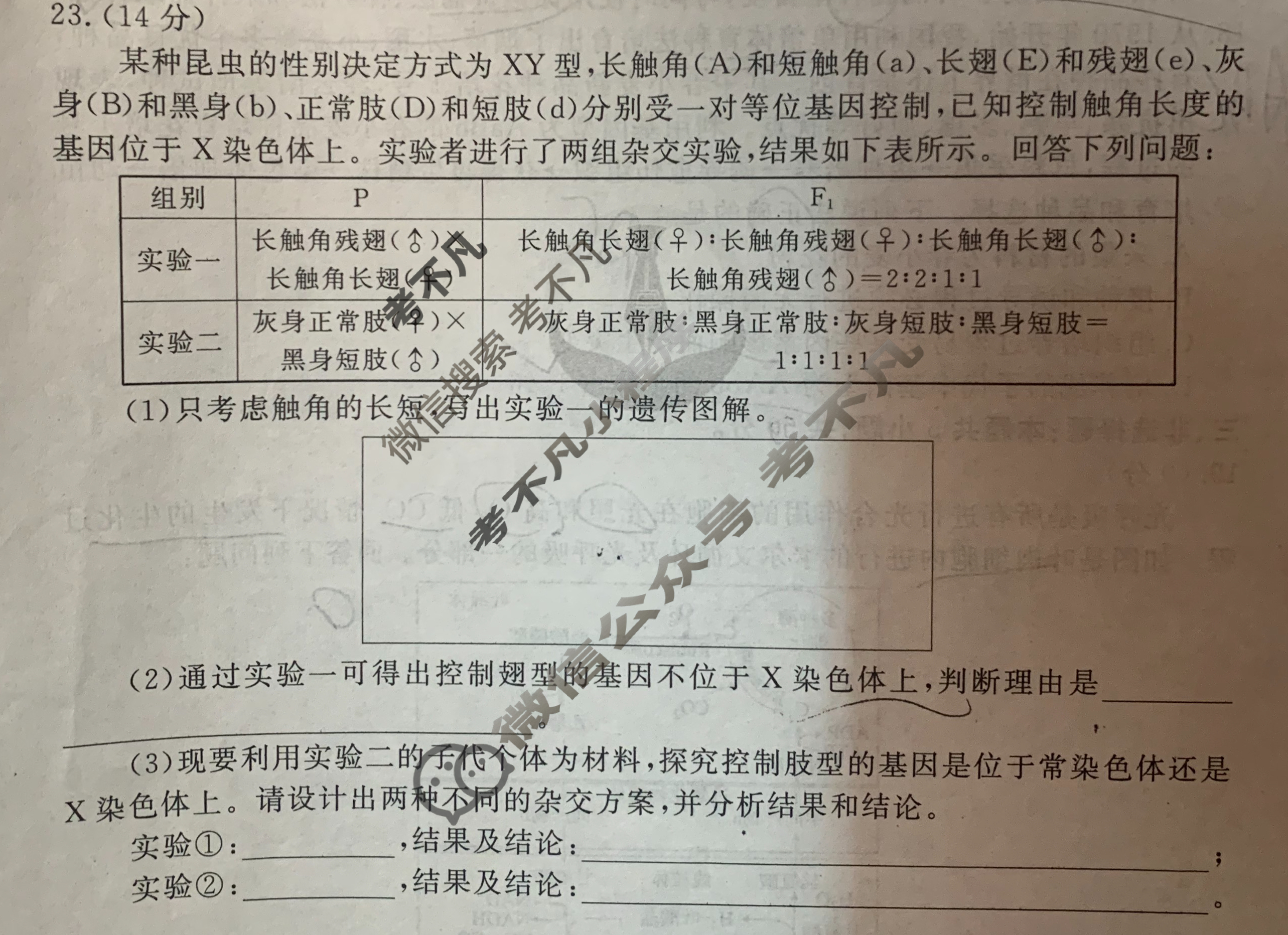 衡水金卷先享题(摸底卷) 2023-2024学年度高三一轮复习摸底测试卷[河北专版] 生物学(二)2试题