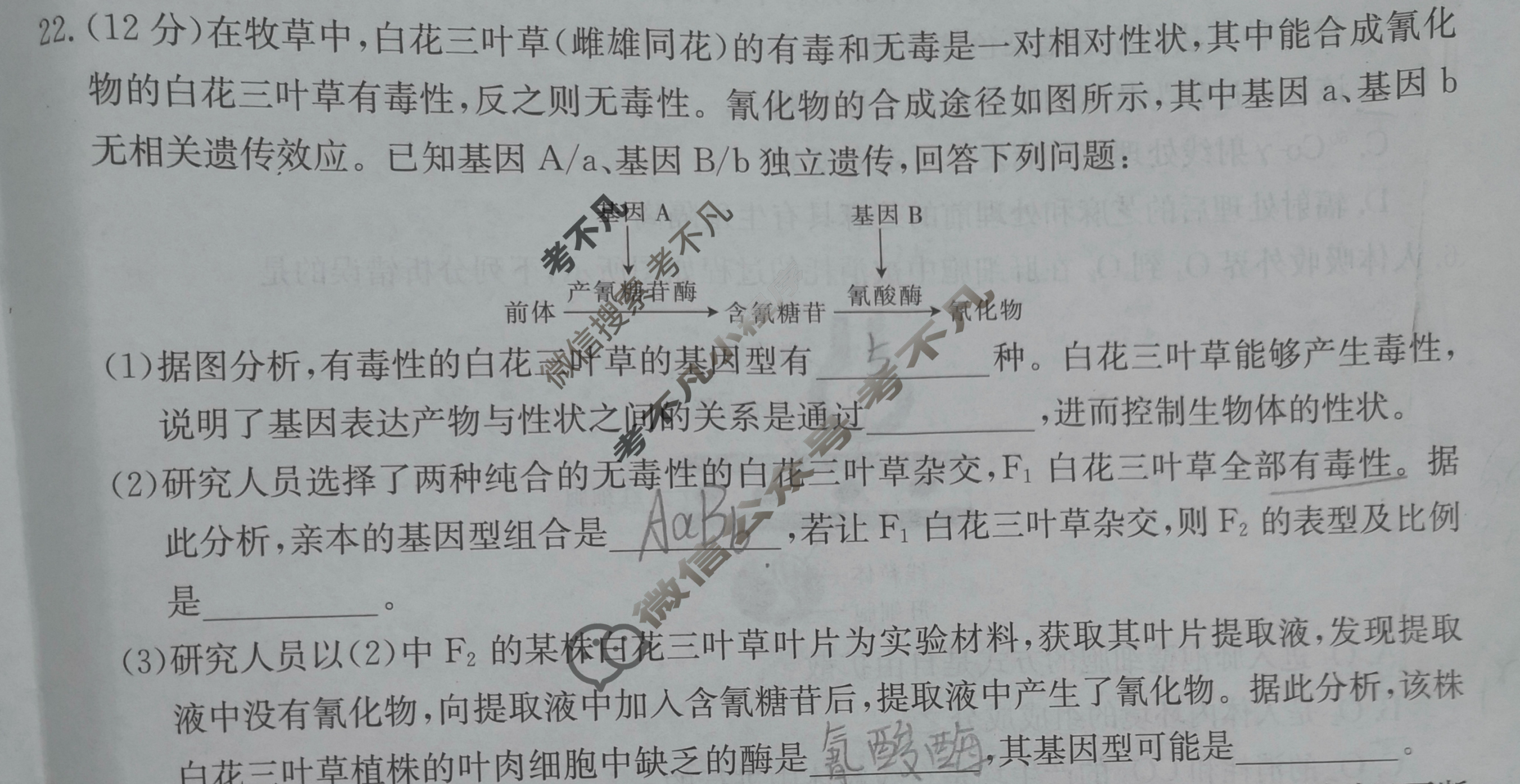 甘肃省2023-2024学年金太阳高二期中检测(24-119B)生物试题