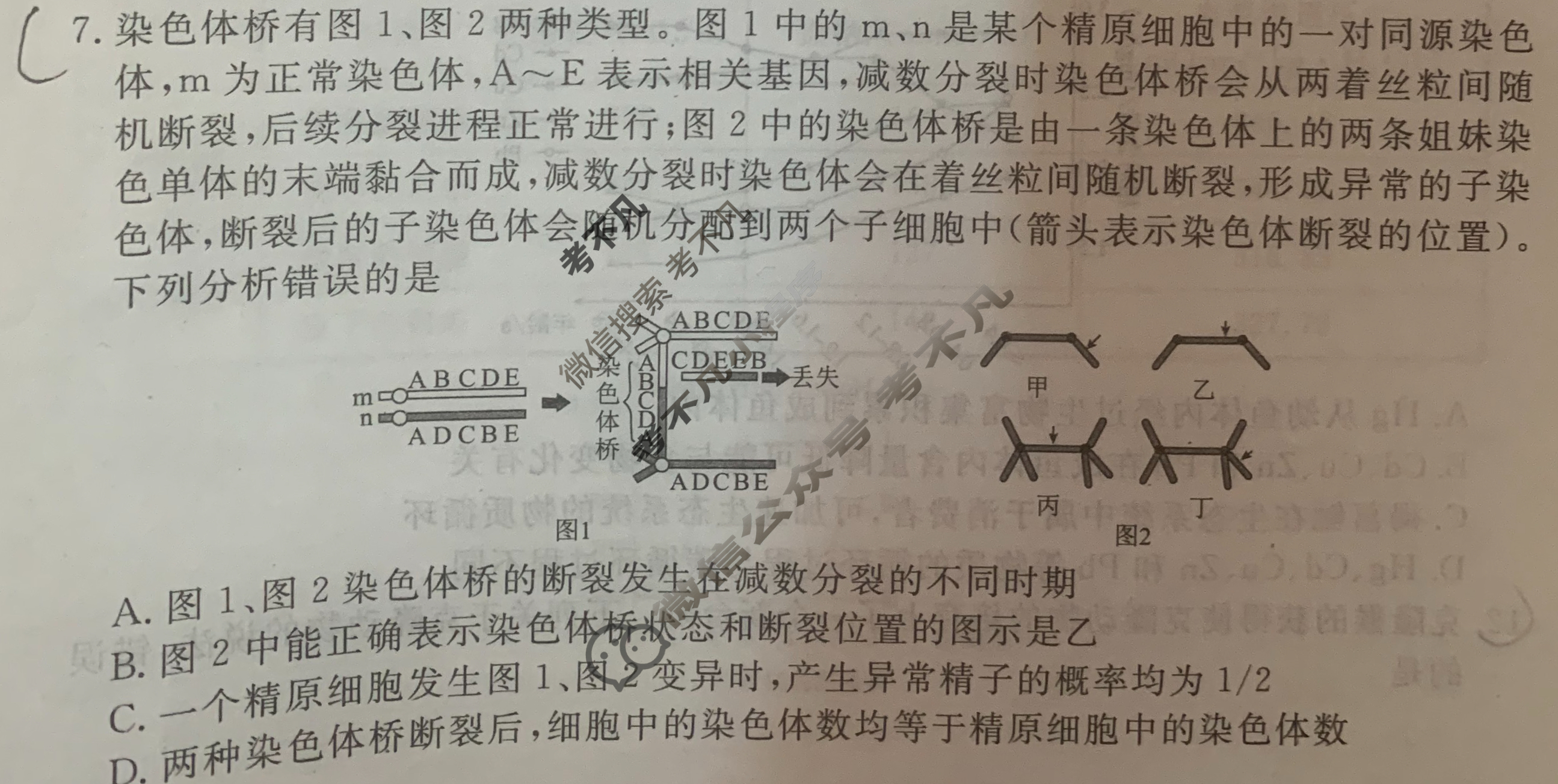 衡水金卷先享题(摸底卷) 2023-2024学年度高三一轮复习摸底测试卷[河北专版] 生物学(三)3试题