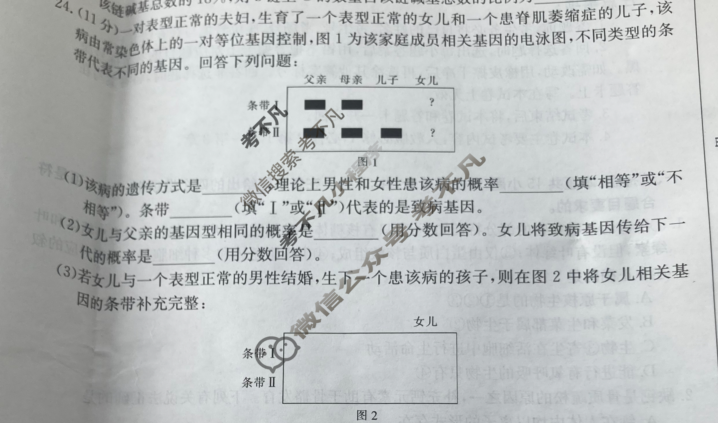 辽宁省铁岭市高三一般高中协作校期中考试(24-156C)生物试题