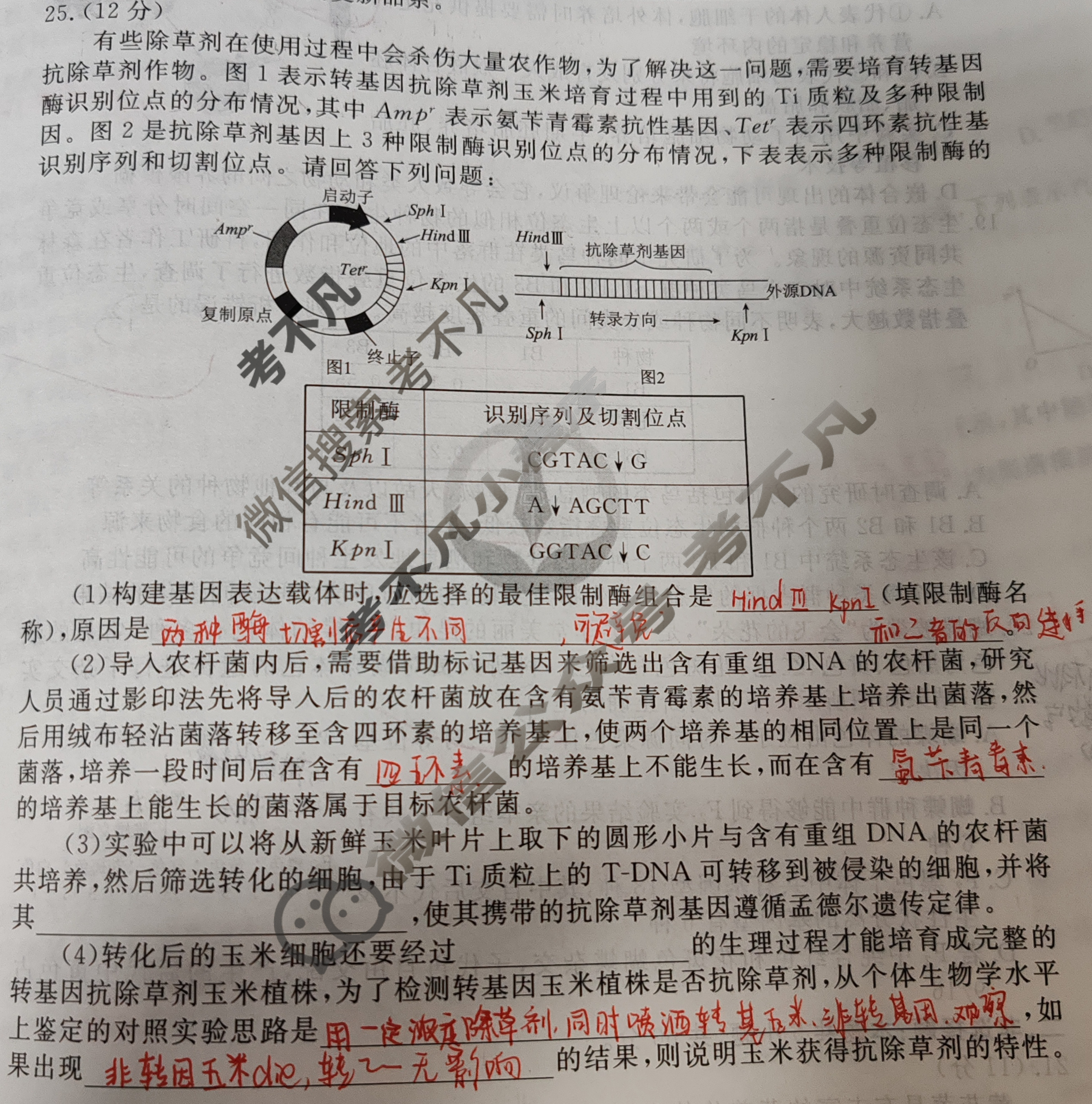 衡水金卷先享题(摸底卷) 2023-2024学年度高三一轮复习摸底测试卷[贵州专版] 生物学(一)1试题