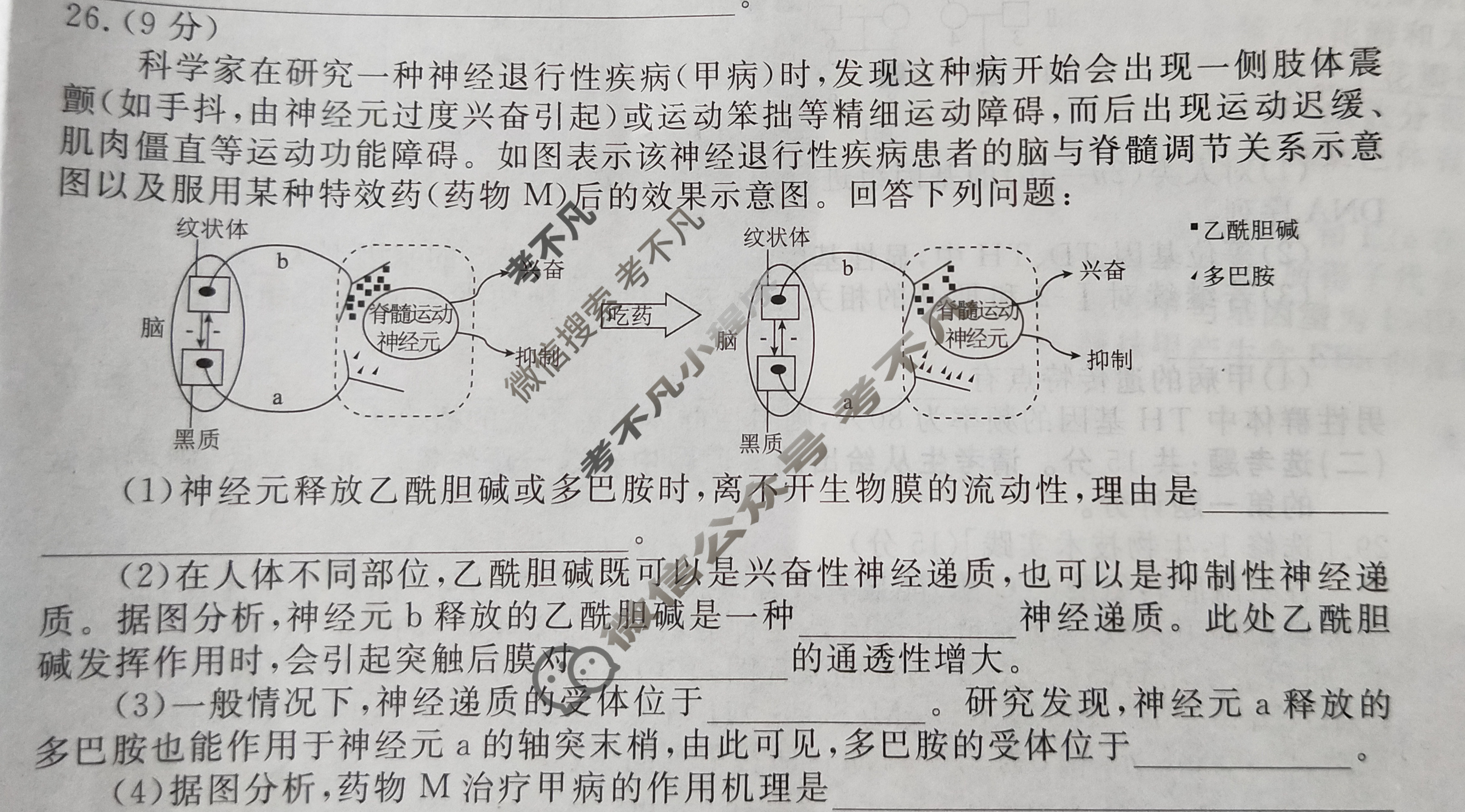 衡水金卷先享题(摸底卷) 2023-2024学年度高三一轮复习摸底测试卷[JJ·B] 生物学(三)3试题