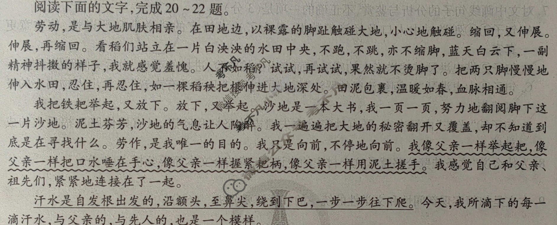 衡水金卷先享题·月考卷 2023-2024学年度上学期高三年级三调考试[新高考无角标]语文试题