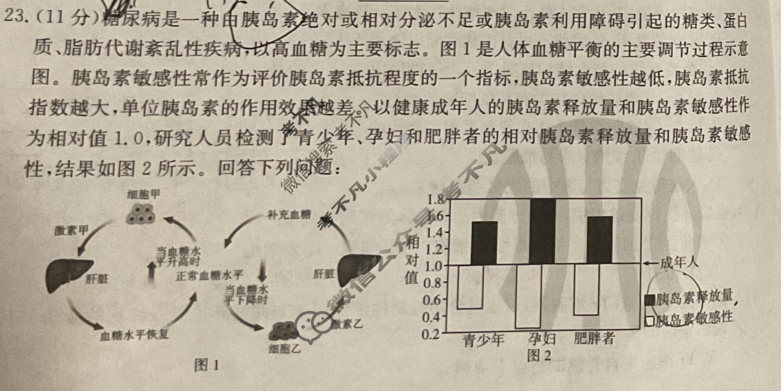 辽宁省2023-2024学年高二金太阳11月联考(24-132B)生物试题