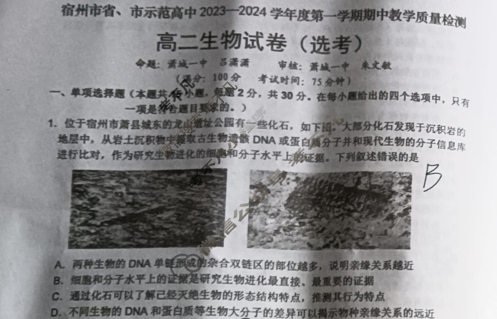 安徽省宿州市省、市示范高中2023-2024学年度第一学期高二期中教学质量检测(11月)生物试题