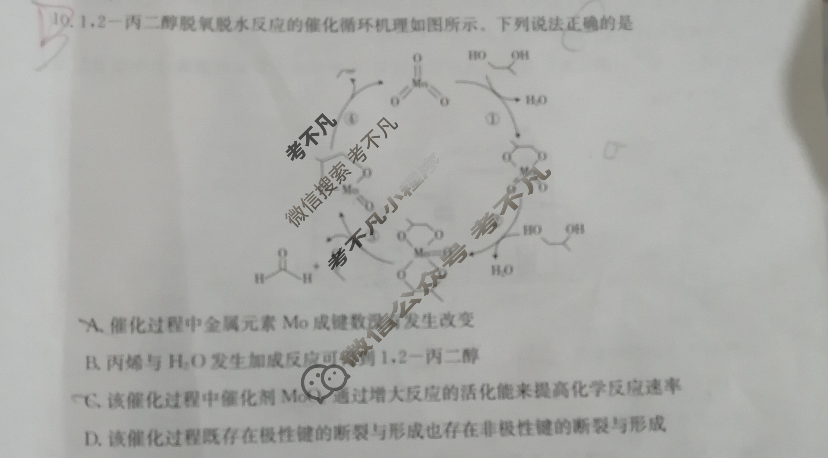 福建省2023~2024学年第一学期高三金太阳半期考(24-120C)化学试题