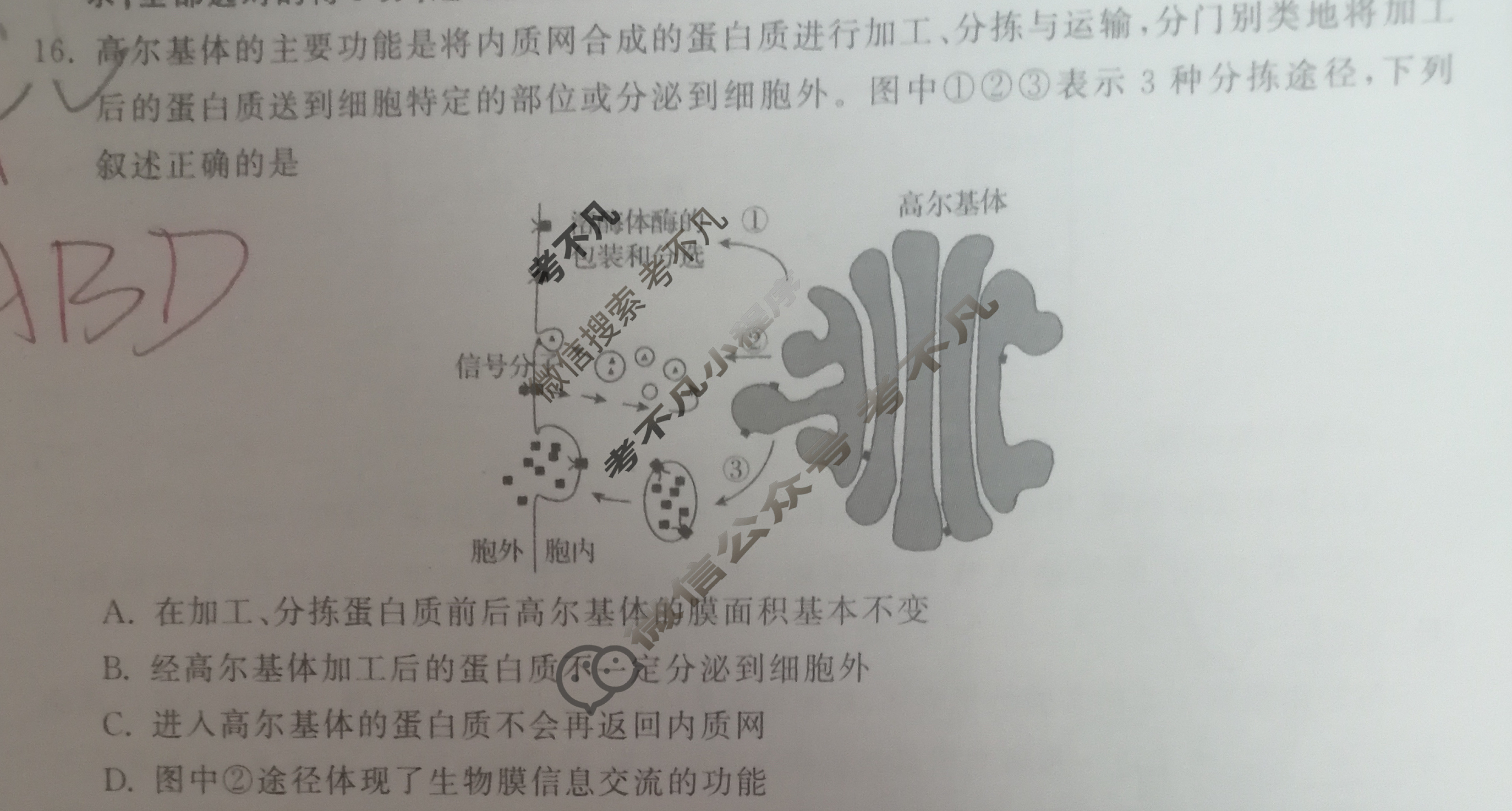 [衡中同卷]2023-2024学年度上学期高三年级三调考试[新教材版X]生物学试题