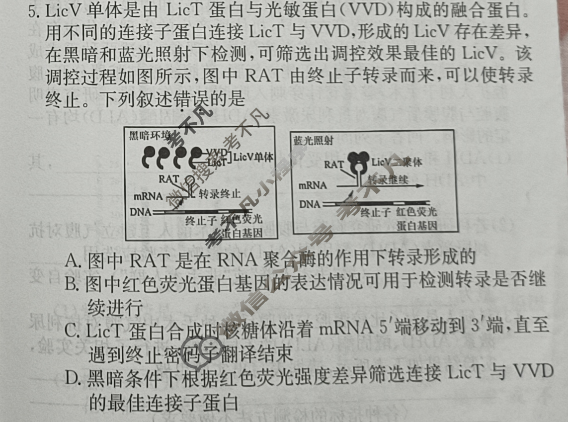 高三2024届新高考普通高中学业水平选择性考试F-XKB-H(二)2生物试题