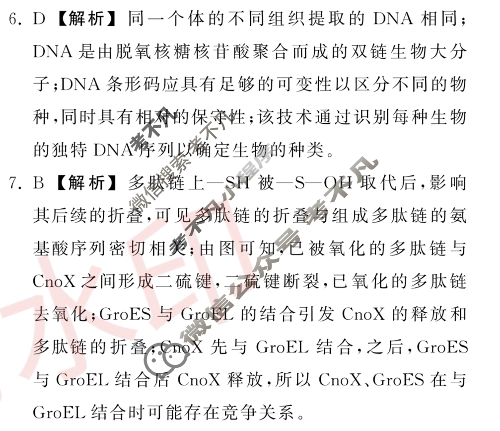 [衡中同卷]2023-2024学年度上学期高三年级一调考试[新教材版]生物答案