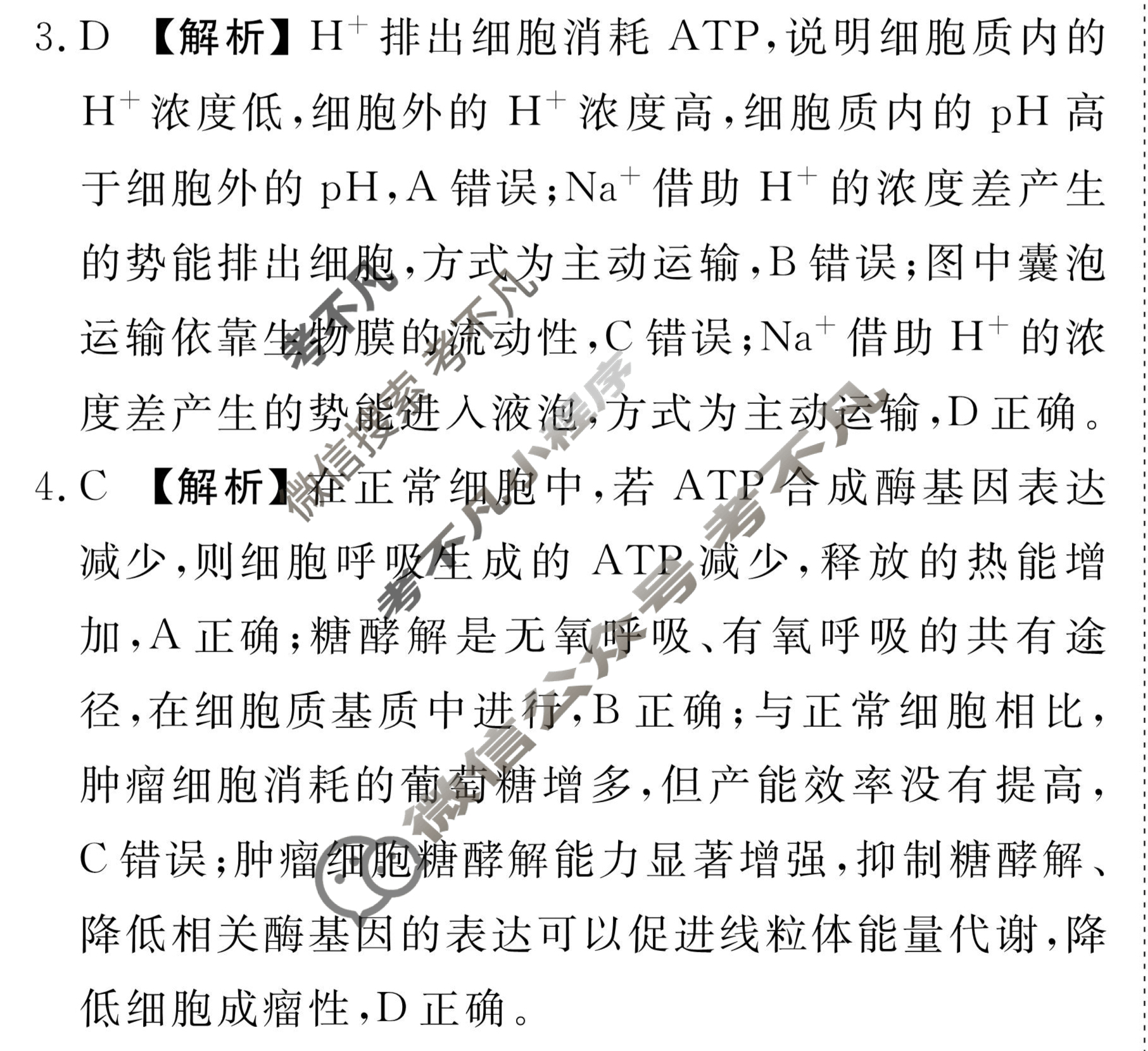 衡水金卷先享题(摸底卷) 2023-2024学年度高三一轮复习摸底测试卷[山东专版] 生物学(三)3答案