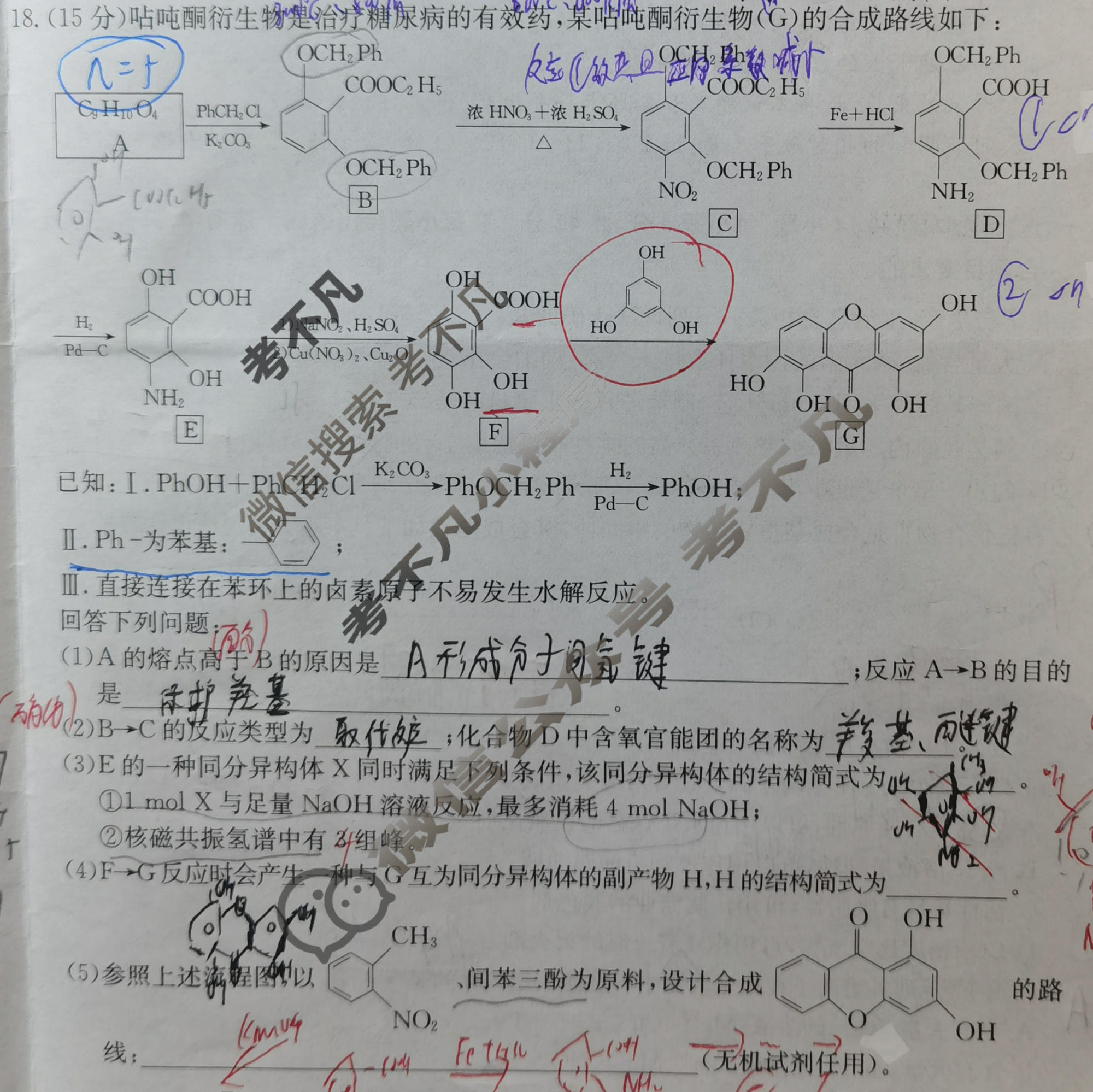 2024届全国高考分科调研模拟测试卷 [XGK☆](五)5地理试题