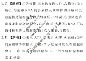 衡水金卷先享题(摸底卷) 2023-2024学年度高三一轮复习摸底测试卷[JJ·B] 理综(一)1答案