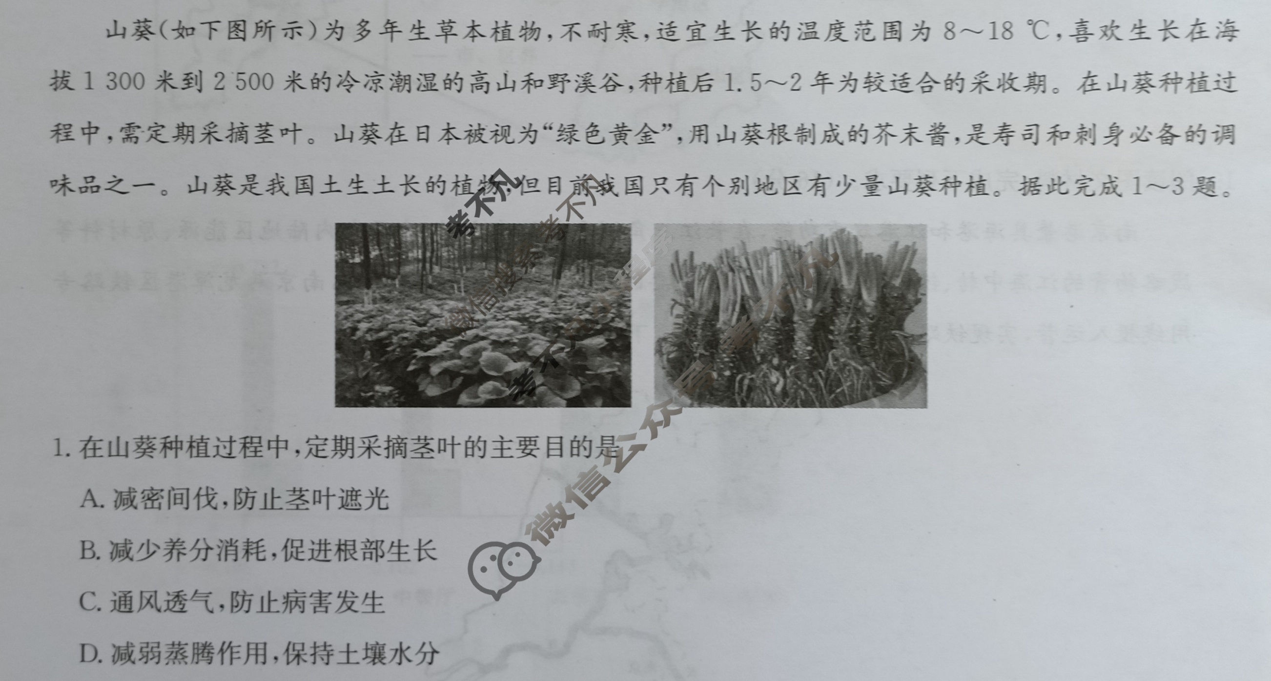 [九师联盟]2024届高三11月质量检测巩固卷地理X-G试题