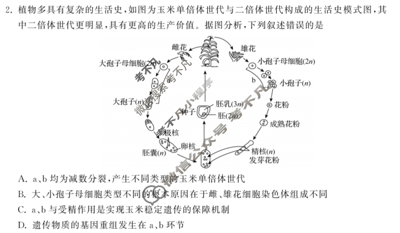 [衡中同卷]2023-2024学年度上学期高三年级五调考试[新教材]生物试题