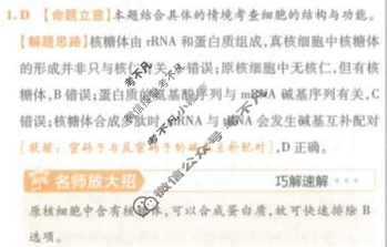 [金考卷·百校联盟(新高考卷)]2024年普通高等学校招生全国统一考试 领航卷(四)4生物答案