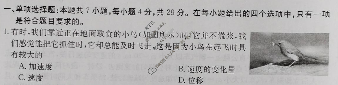 2024年重庆市高一金太阳12月联考(24-190A)物理试题