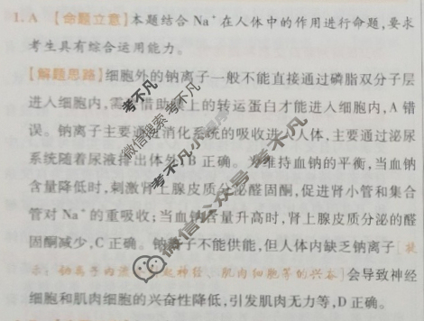[金考卷·百校联盟(新高考卷)]2024年普通高等学校招生全国统一考试 领航卷(三)3理科综合(新教材)答案