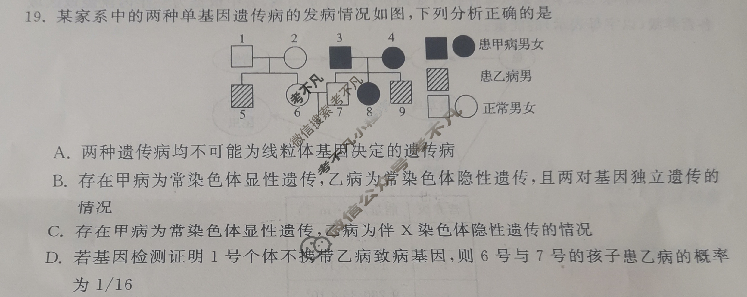 [衡中同卷]2023-2024学年度高三一轮复习滚动卷[新教材版L]生物学(二)2试题