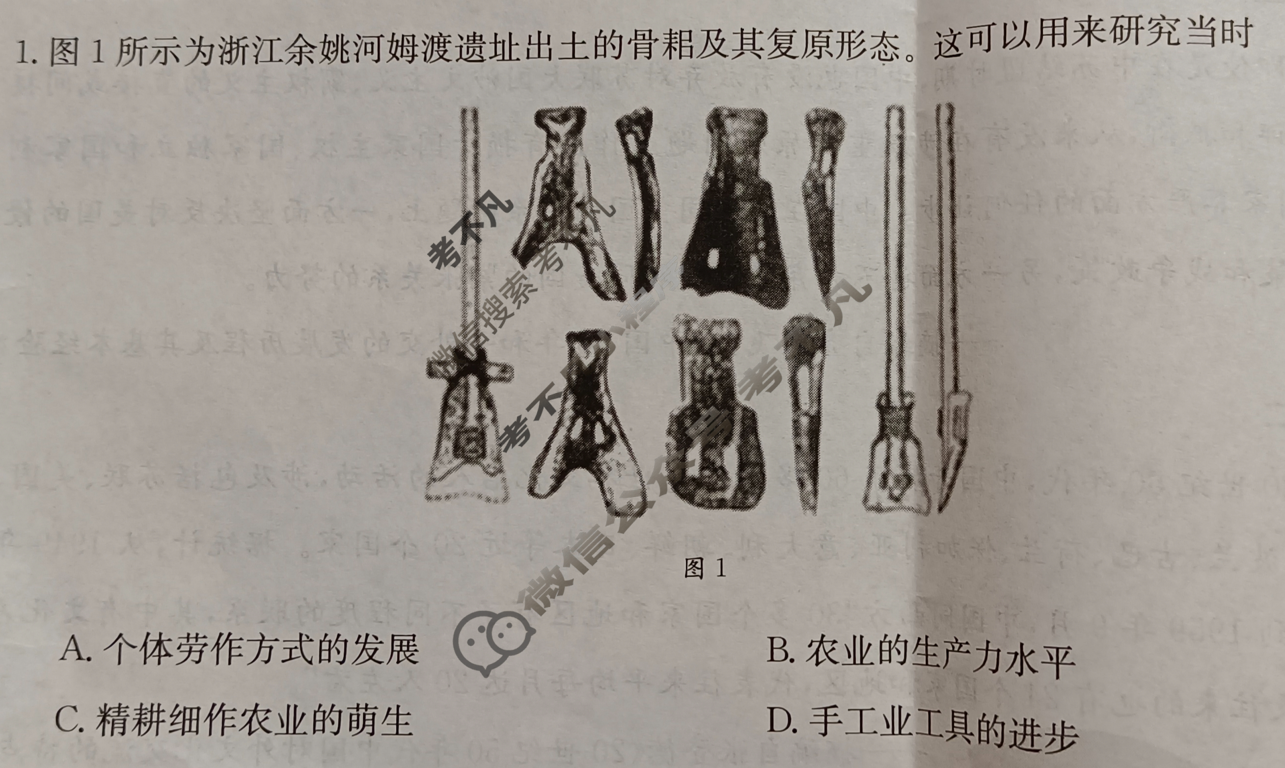 2023-2024学年河北省高二金太阳12月联考(显微镜)历史HEB-B2试题