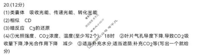 江苏省百校联考高三年级金太阳第二次考试(24-209C)生物答案