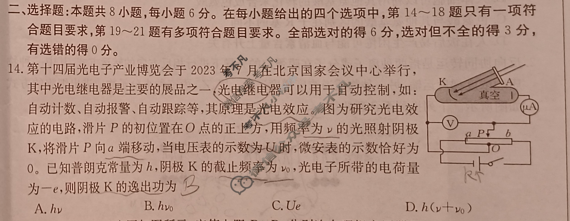 云南省2023-2024学年高三金太阳12月联考(24-199C)理科综合试题
