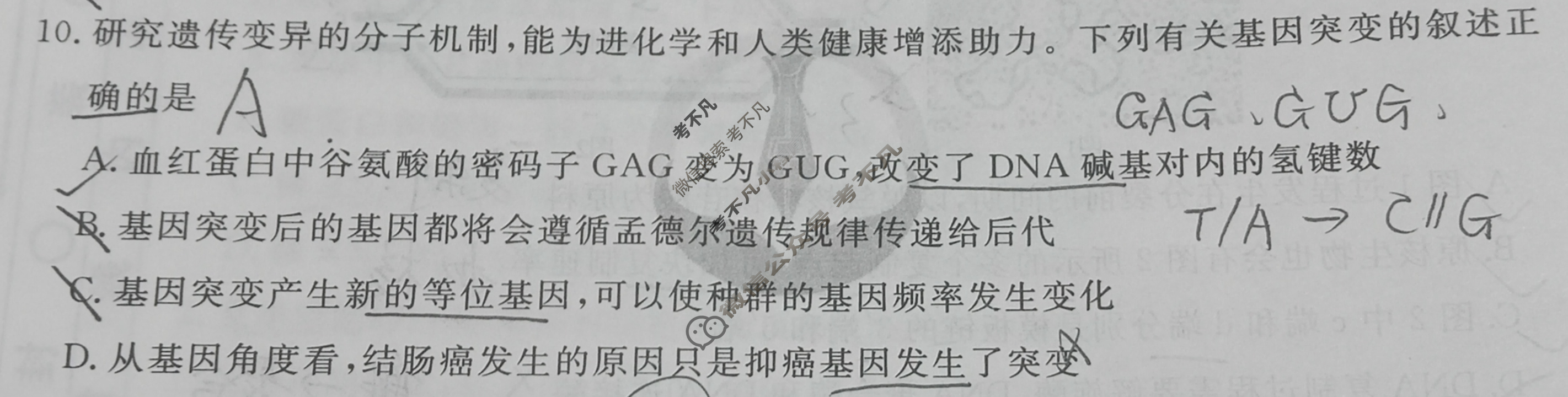 衡水金卷先享题·月考卷 2023-2024学年度上学期高三年级期中考试[湖南专版]生物学试题