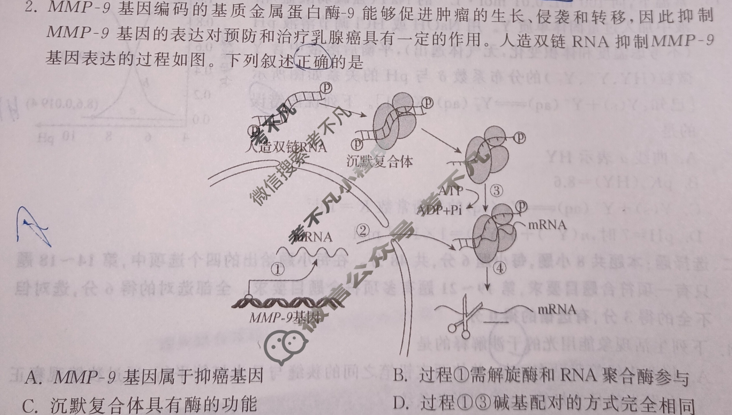 2024届衡中同卷 调研卷[新教材版A]理科综合(一)1试题