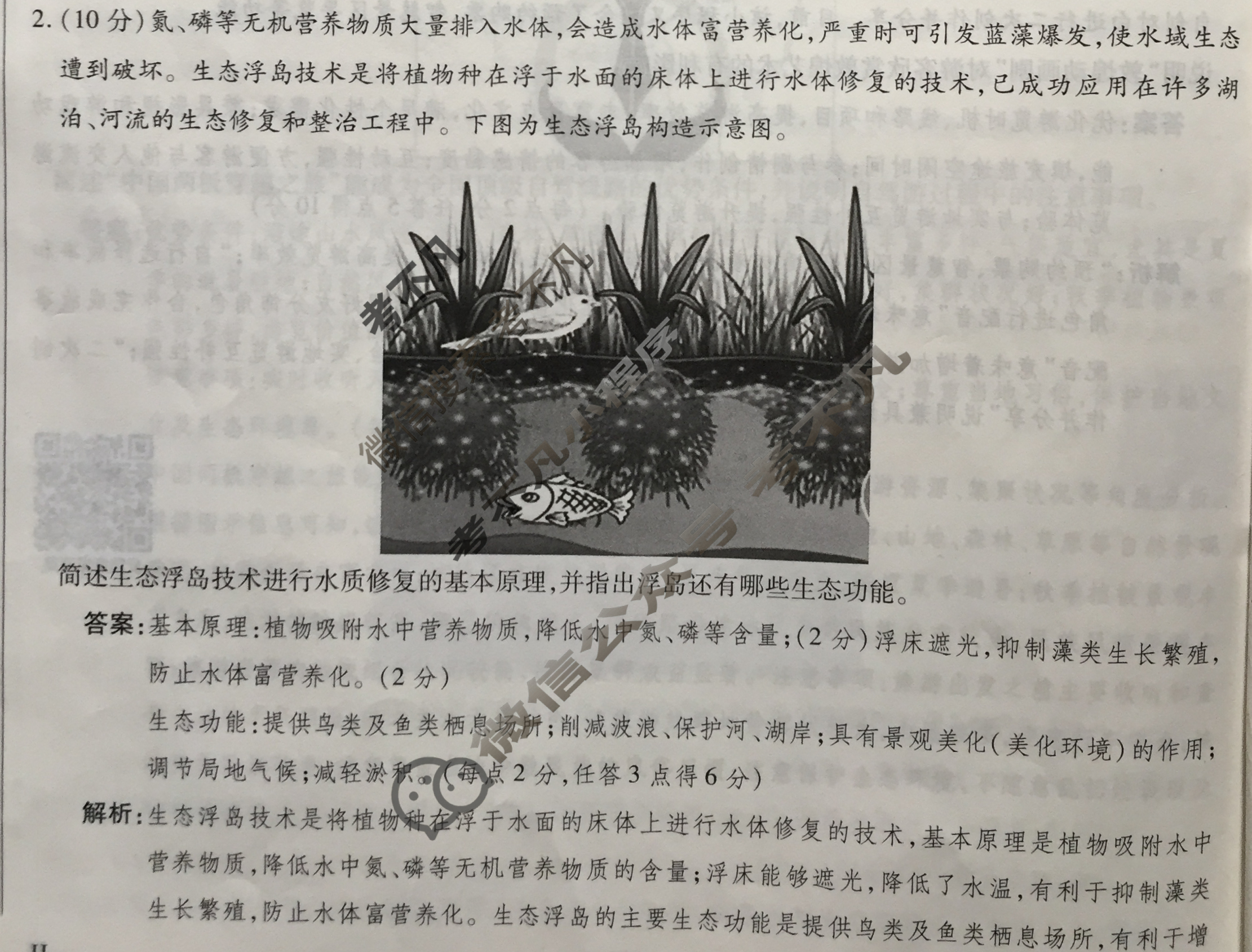 2023-2024衡水金卷先享题 高三一轮复习40分钟单元检测卷[JJ]地理(二十三)23答案