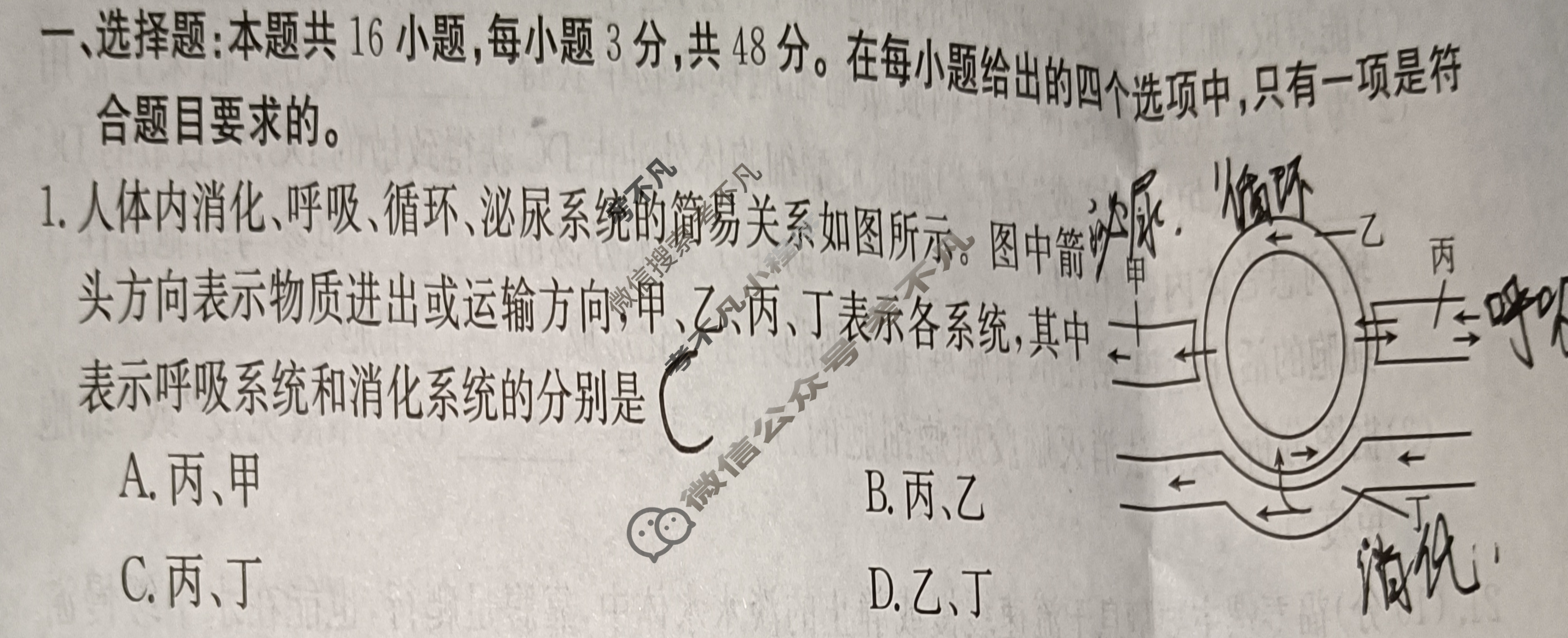 贵州省2024届高二金太阳12月联考(24-203B)生物试题