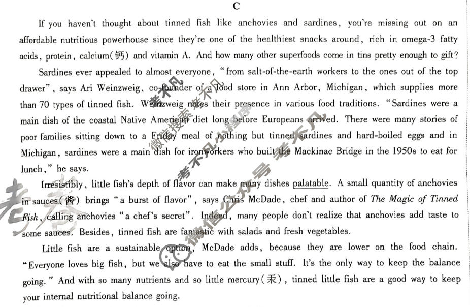 [金考卷·百校联盟(新高考卷)]2024年普通高等学校招生全国统一考试 预测卷(六)6英语试题