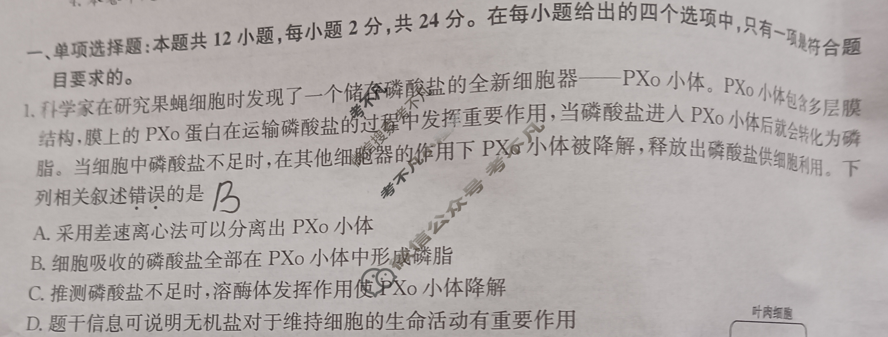 [九师联盟]2024届高三12月质量检测生物N试题
