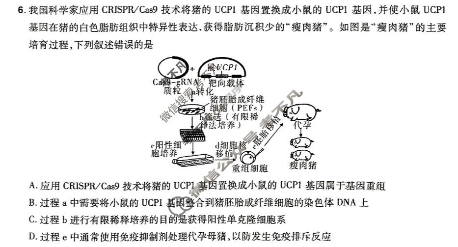 [金考卷·百校联盟(新高考卷)]2024年普通高等学校招生全国统一考试 预测卷(四)4理科综合(新教材)试题