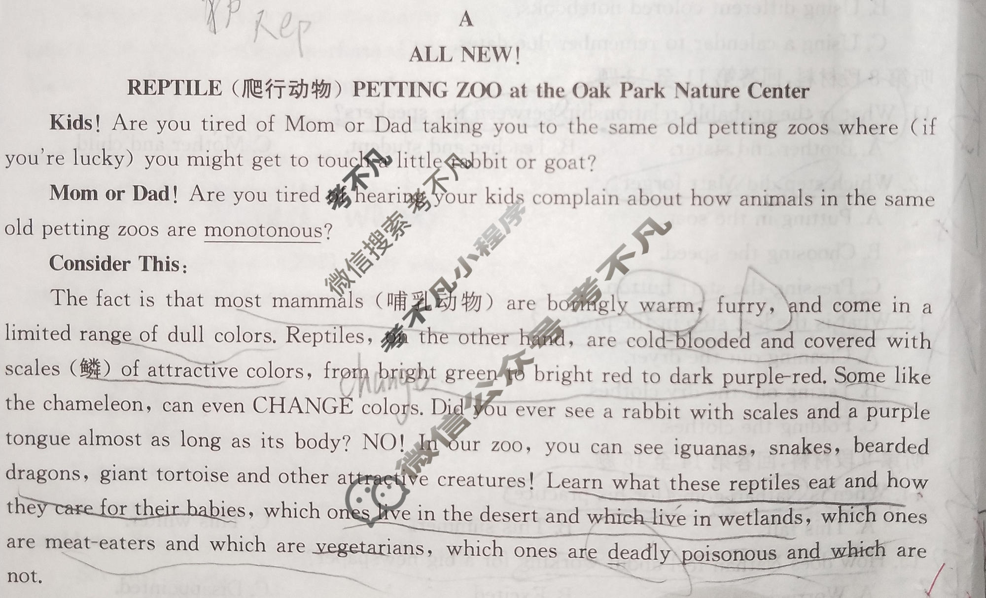 广西2023-2024学年高二年级金太阳阶段性考试(24-224B)英语B1试题