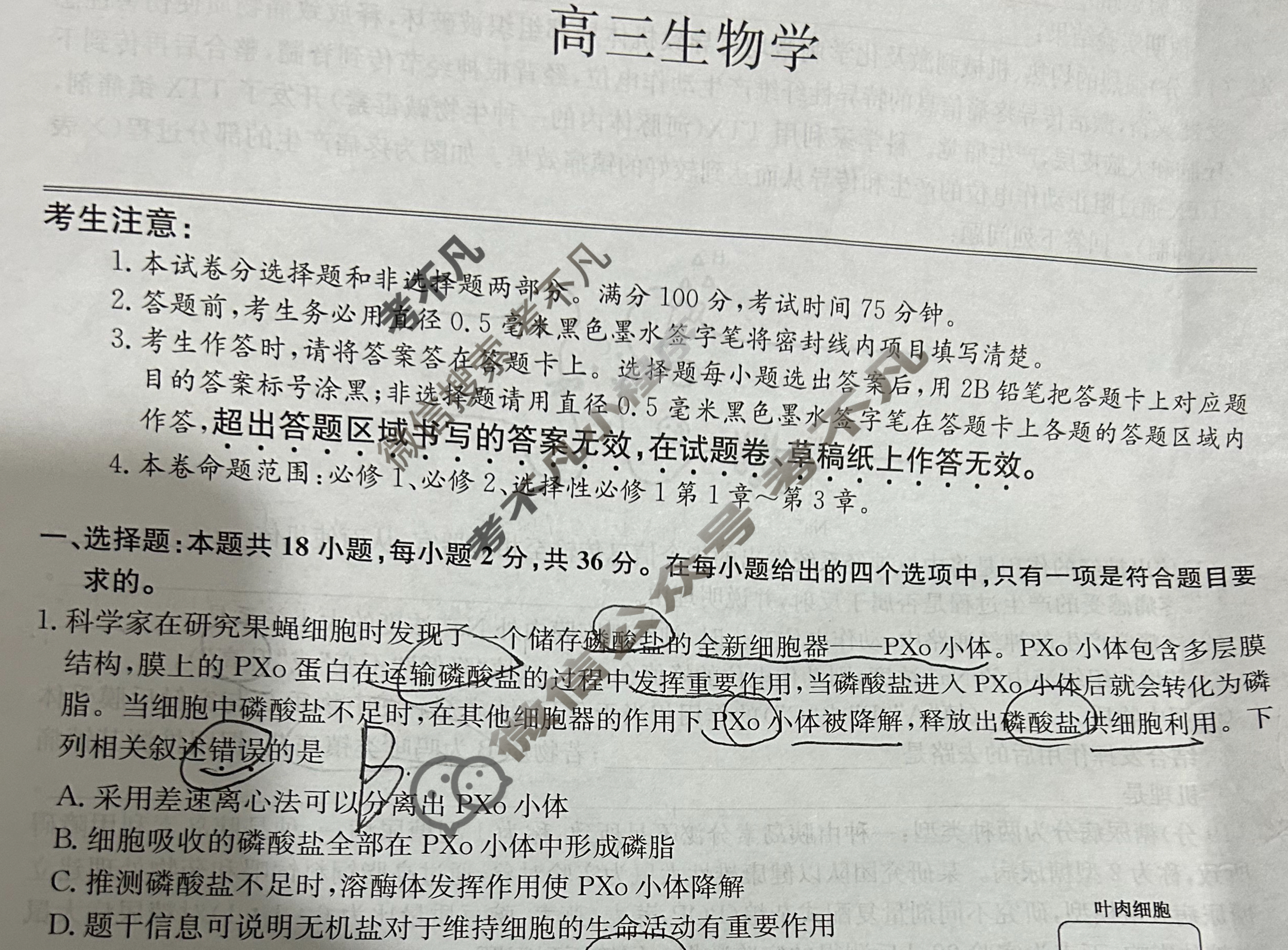 [九师联盟]2024届高三12月质量检测生物W试题