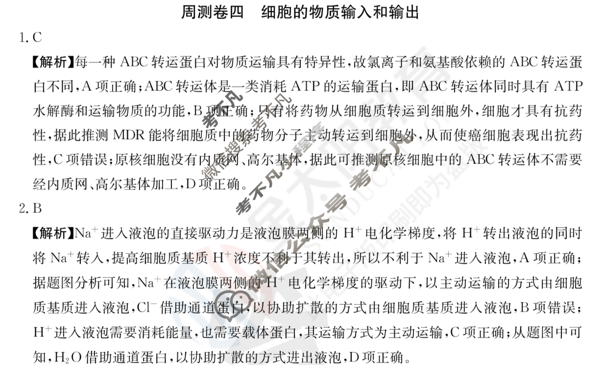 2024年高三第一轮复习周测卷[24·G3ZCJ(新高考)·生物学-R-必考-QGA]生物(四)4答案
