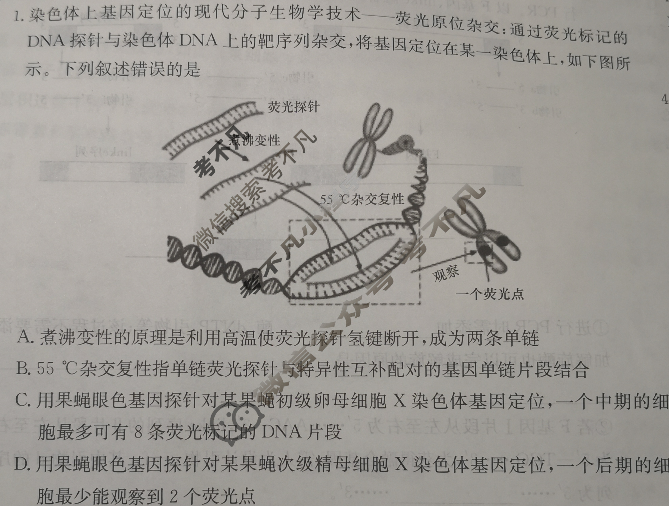 炎德英才大联考(雅礼版)雅礼中学2024届高三月考试卷(四)4生物试题