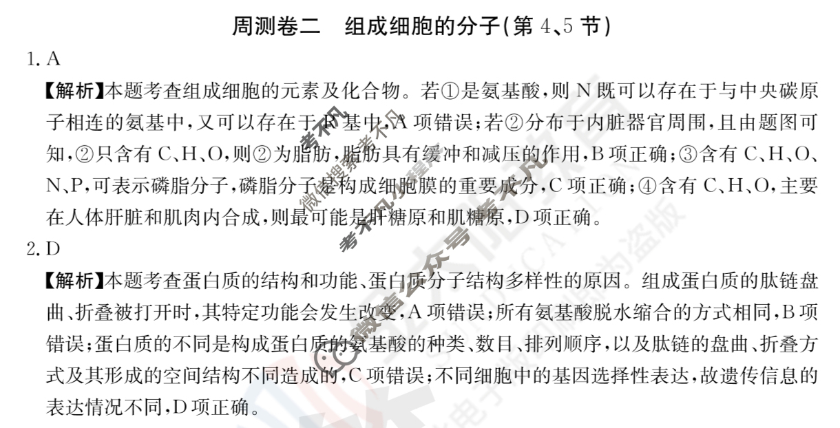 2024年高三第一轮复习周测卷[24·G3ZCJ(新高考)·生物学-R-必考-QGA]生物(二)2答案