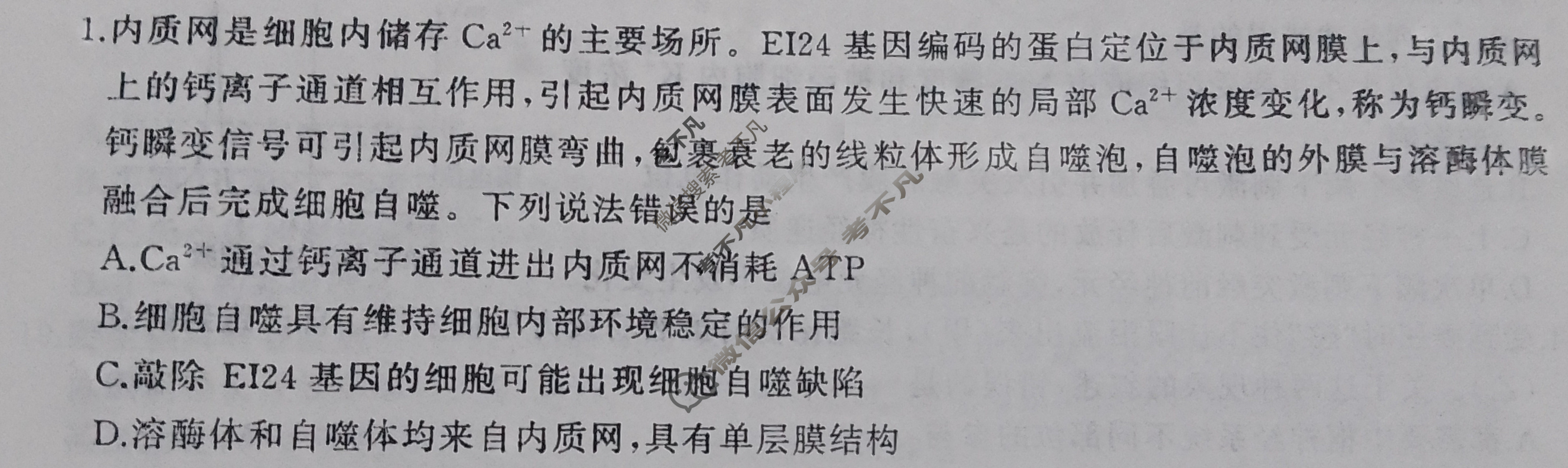 [百师联盟]2024届高三一轮复习12月大联考生物试题