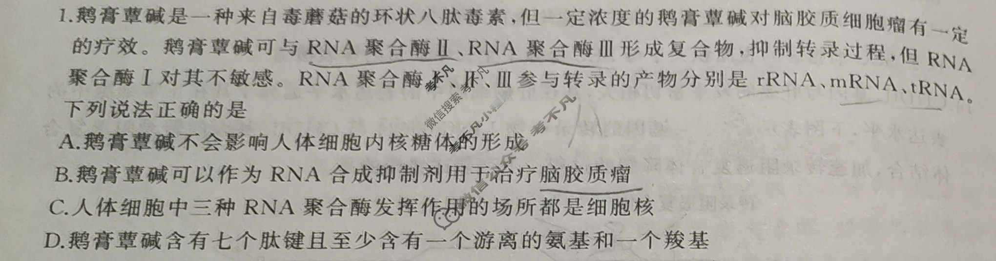 [百师联盟]2024届高三仿真模拟考试(一)1 生物学(新教材75分钟)试题